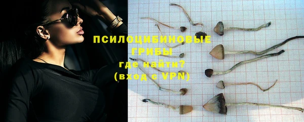 экстази Михайлов